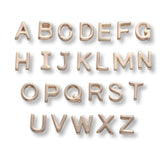 Initial Bar-Gold Initial Charm