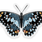 Clear Blue Speckled Butterfly Sticker, 2.5x1.5in